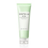 SKIN1004 Madagascar Centella Tea-Trica BHA Foam 4.22 fl.oz, 125ml